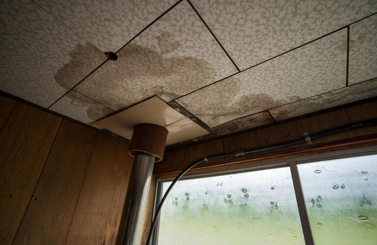 雨漏りのご相談 | 京都のリフォームならY'House